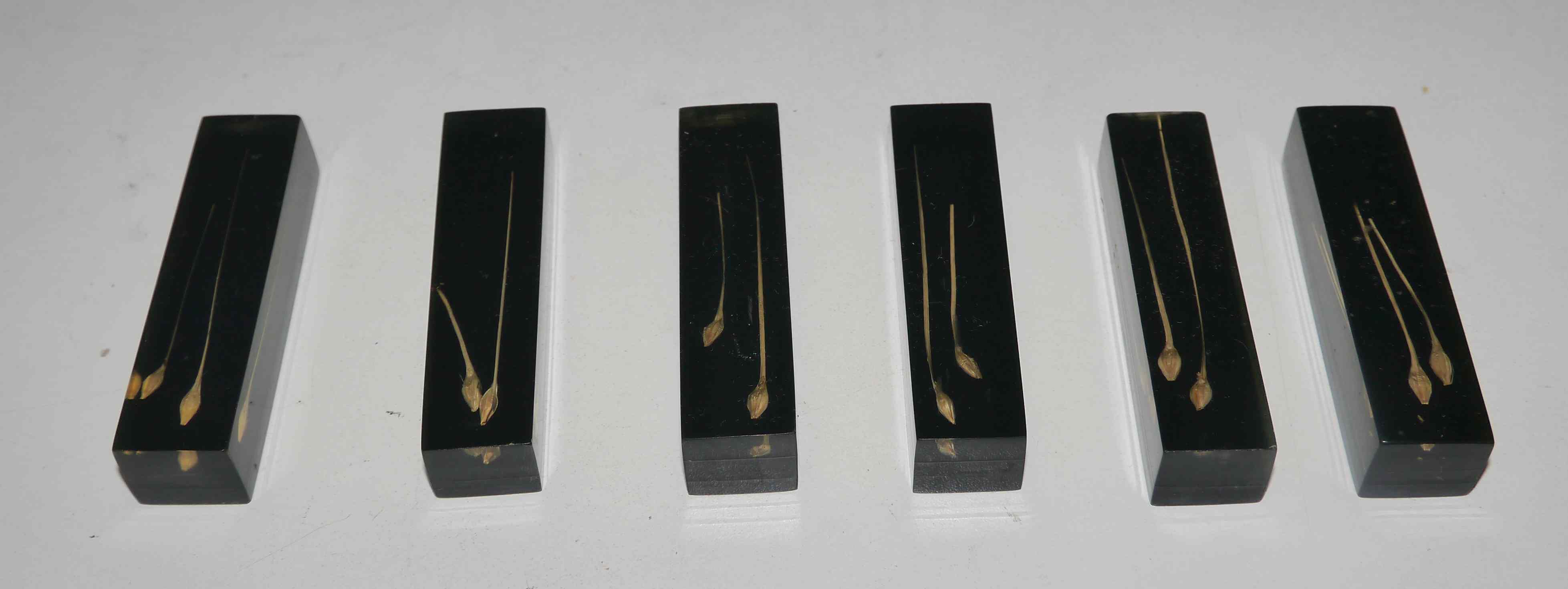 Service of 6 resin knife holders and inclusion 60's years