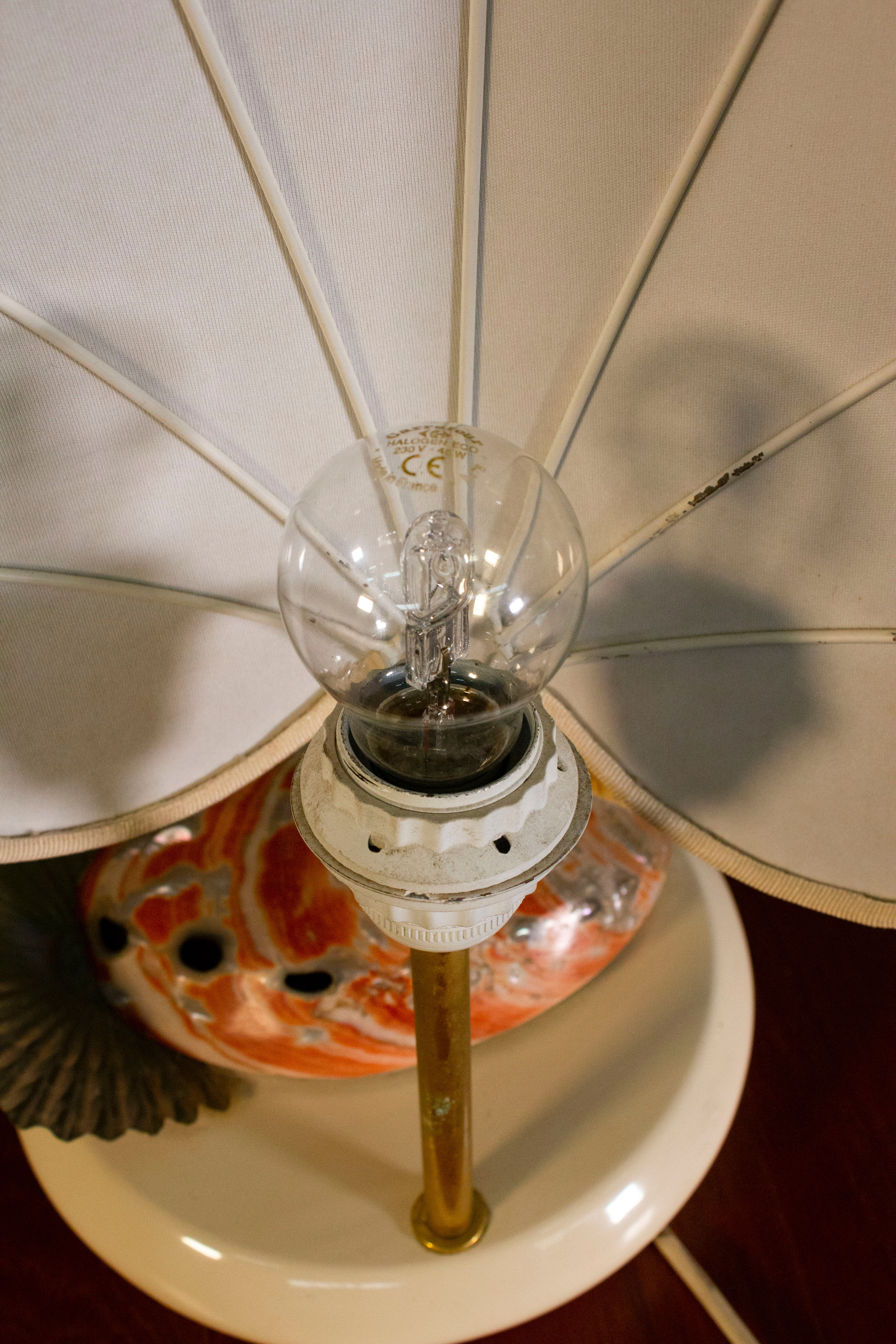 Table lamp, Cigno, made of steel and Nautilus shells, by Antonio Pavi