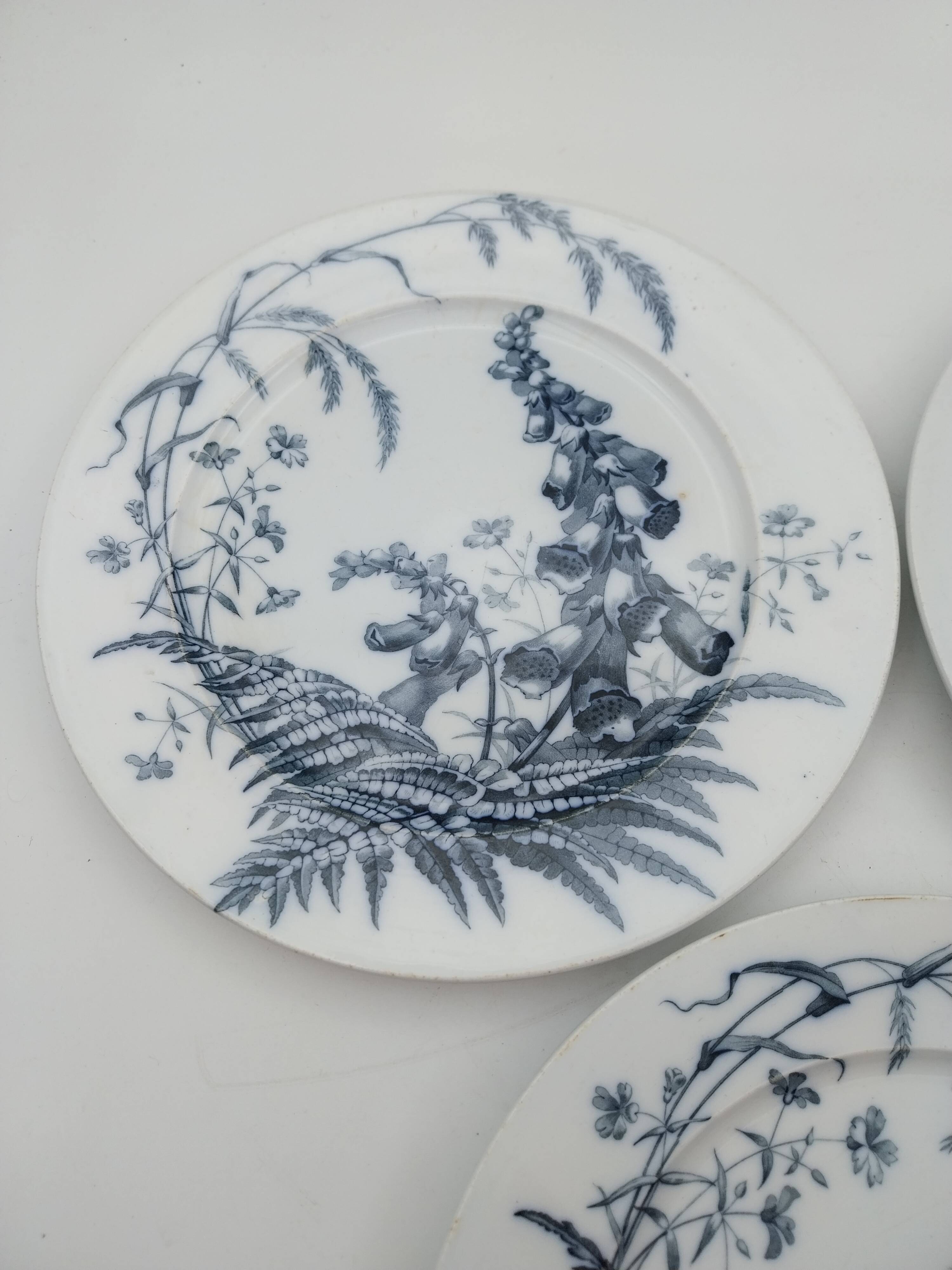 3 Brown Westhead Moore field flowers dinner plates