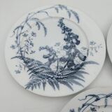 3 Assiettes plates Brown Westhead Moore field flowers