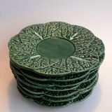Cabbage leaf slip plates
