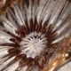 Cristal de Bayel tidy 70s vintage