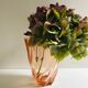 Vase rose en verre