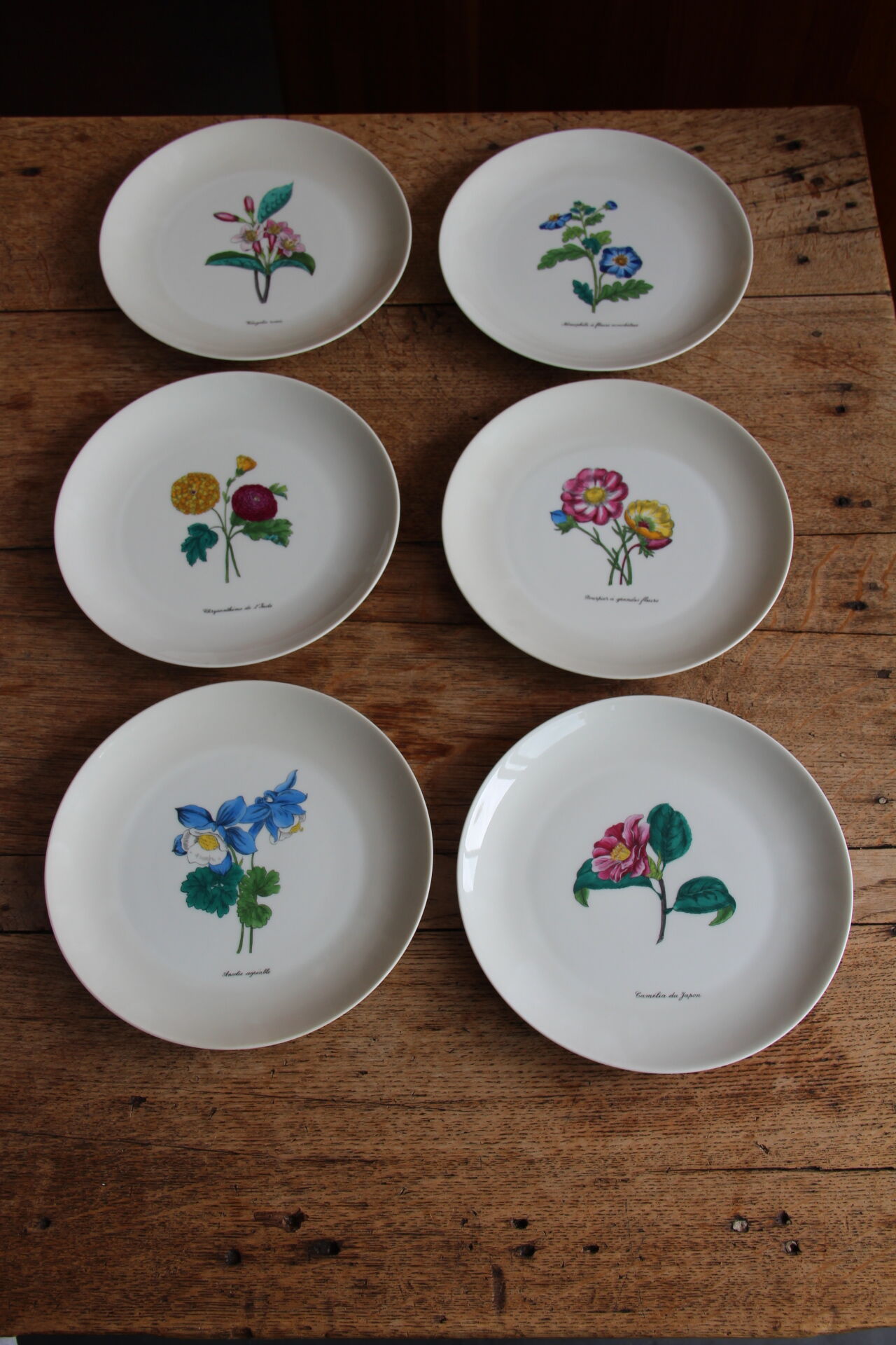 6 NBD Limoges dessert plates illuminated by hand