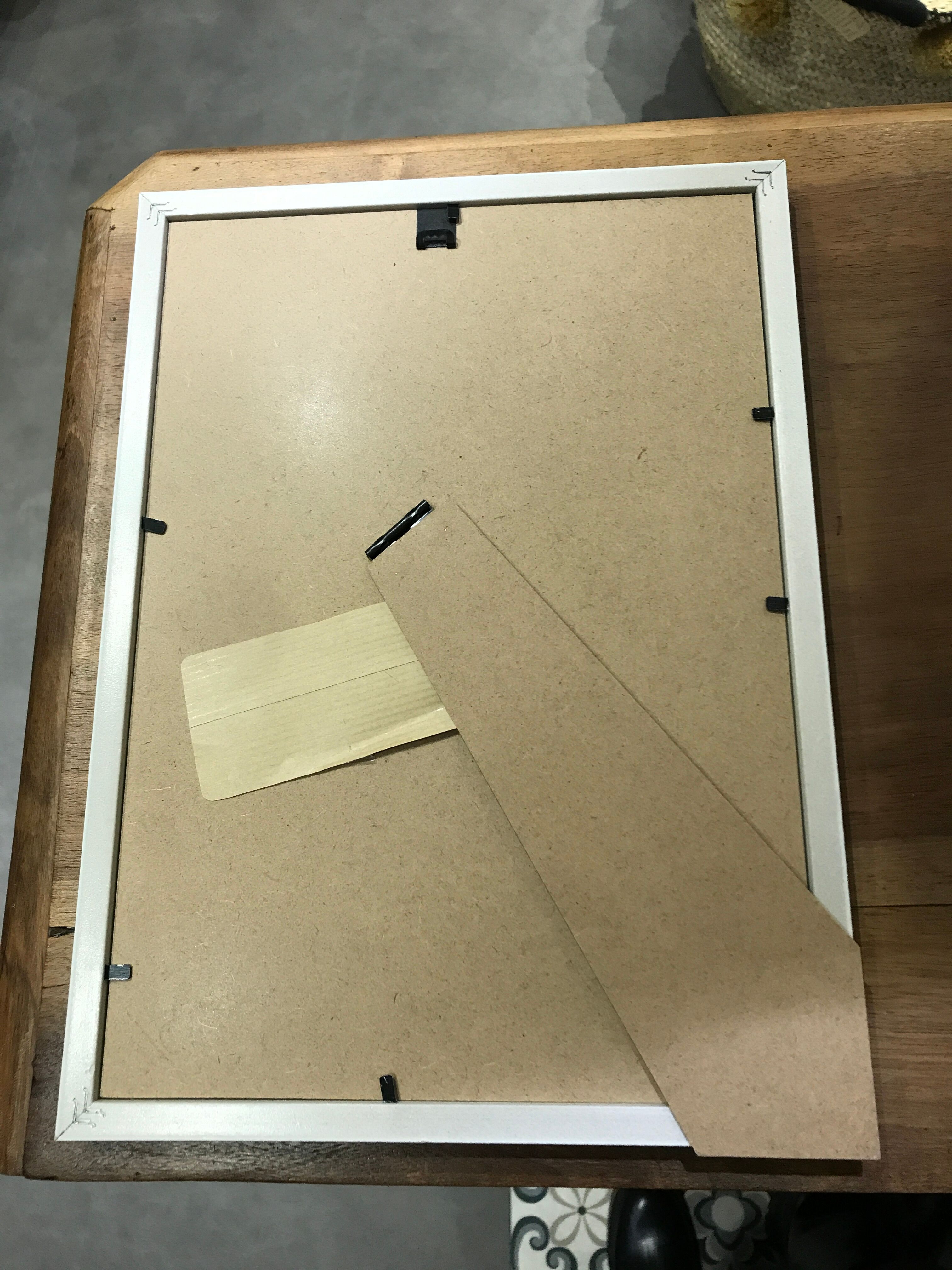 Vintage framed botanical illustration Gymnoclade