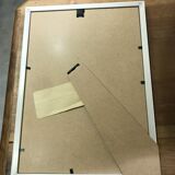 Vintage framed botanical illustration Gymnoclade