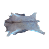 New goat skin