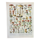 Old engraving 1898, Mushrooms 1, picking • Lithograph, Original plate