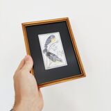 Drawing of birds