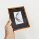 Drawing of birds