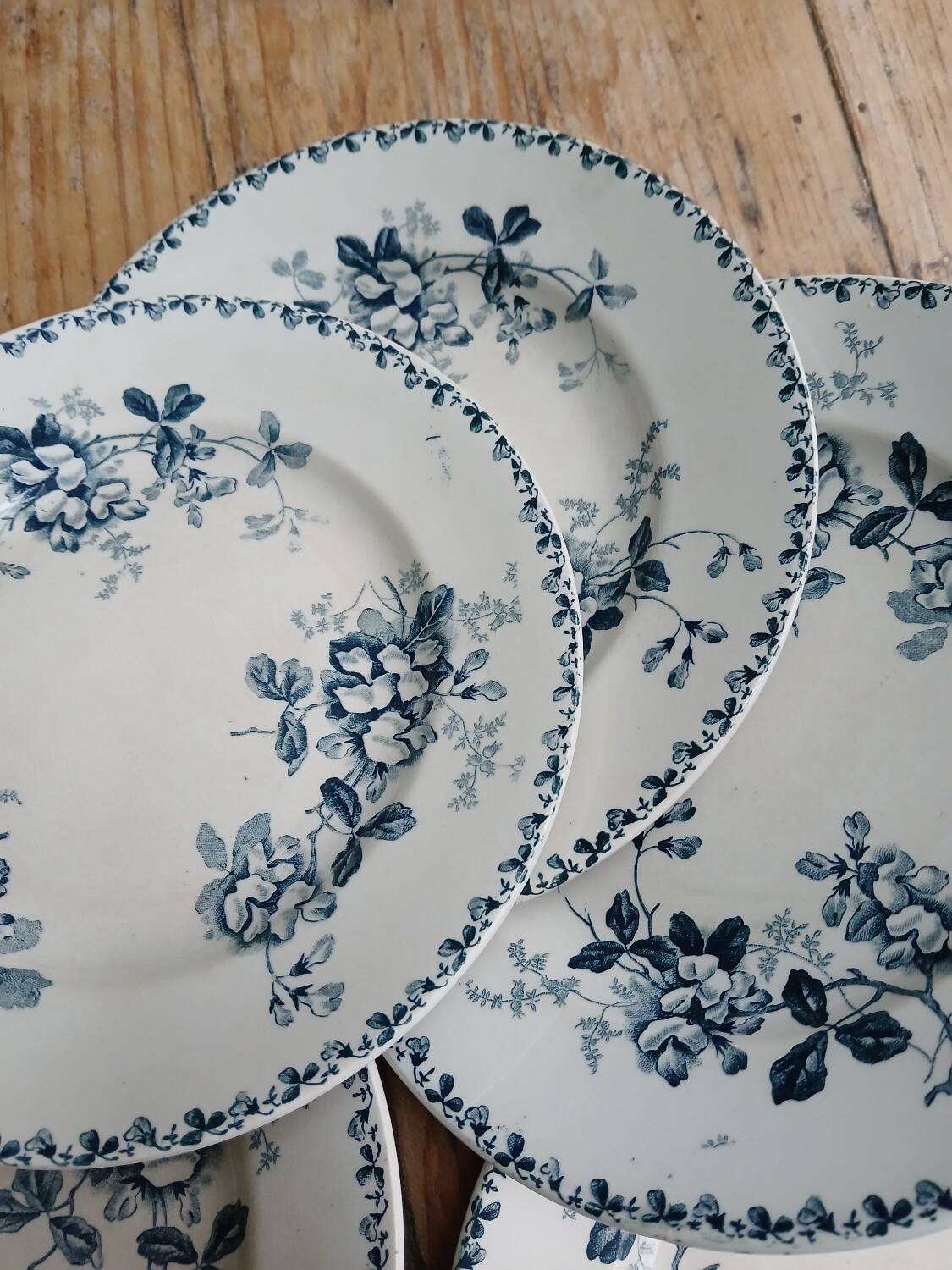 Set of 6 Terre de Fer plates, Acacia model