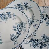Set of 6 Terre de Fer plates, Acacia model
