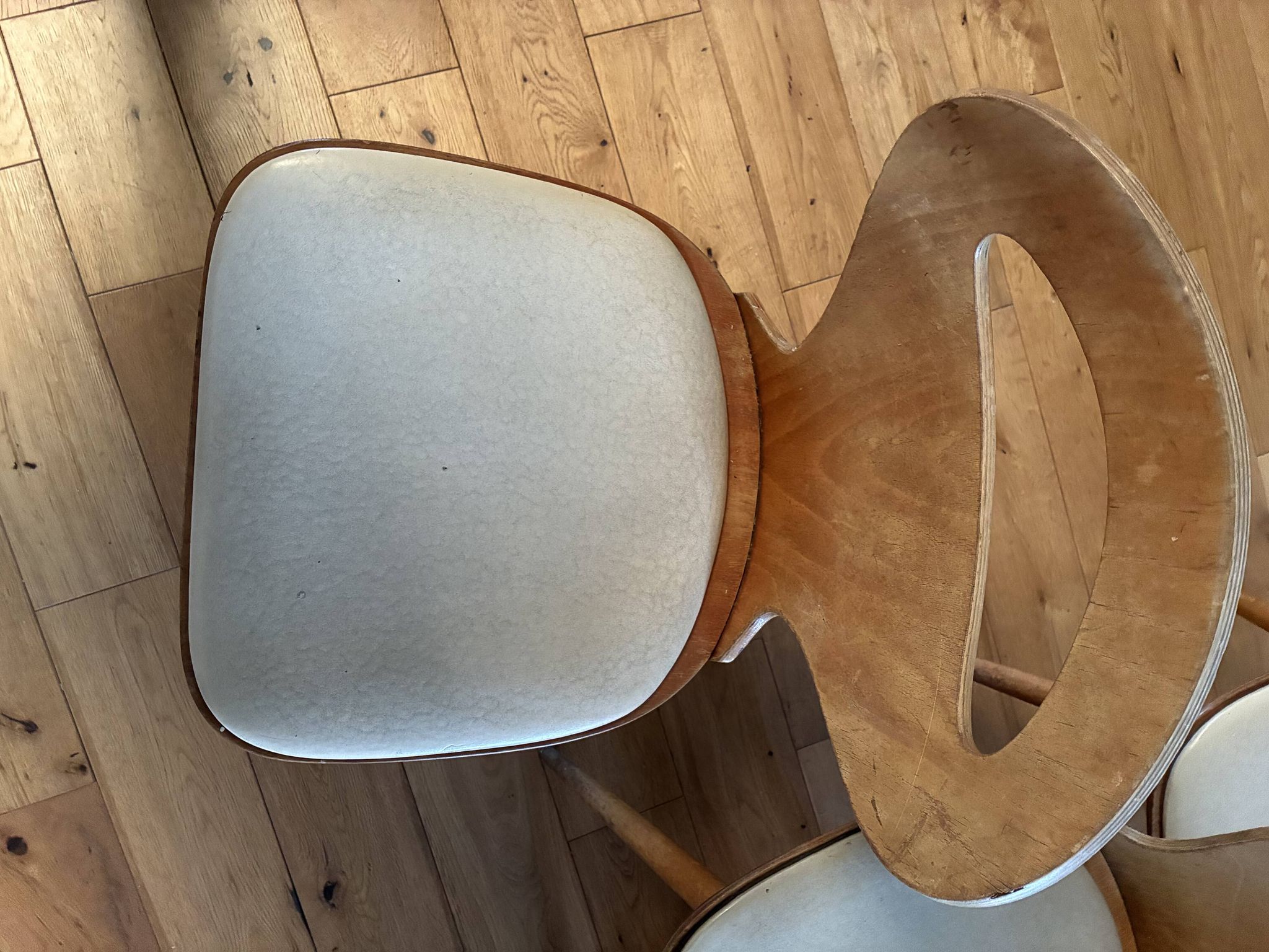 Lot of Baumann chairs model Ant.