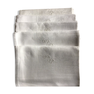 Set of 5 large napkins.