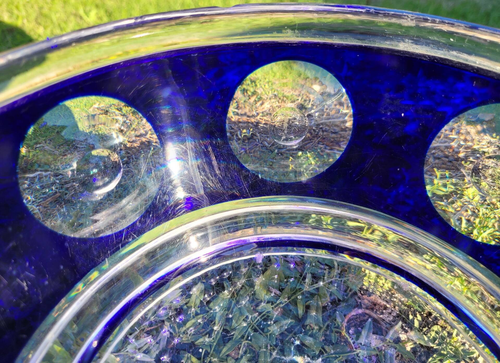 cobalt blue glass bowl with round lenses