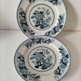 Vintage Wedgwood Bullfinch Plates