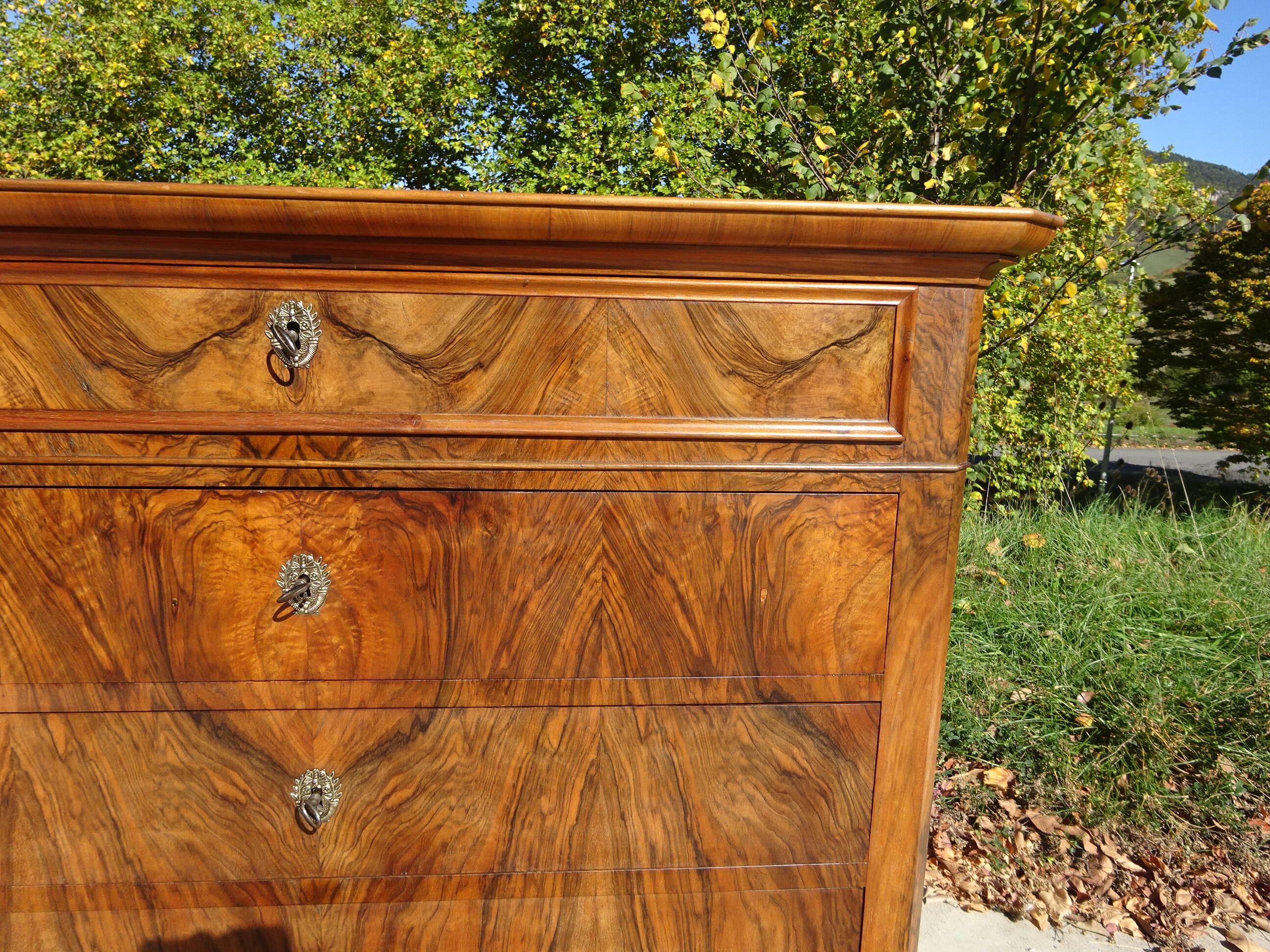 Commode en noyer et ronce de noyer style Louis Philippe