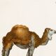 Poster about the dromedary, based on an old engraving from 1774.