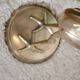 Great brass heron