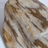 Free form sculpture in fossil wood