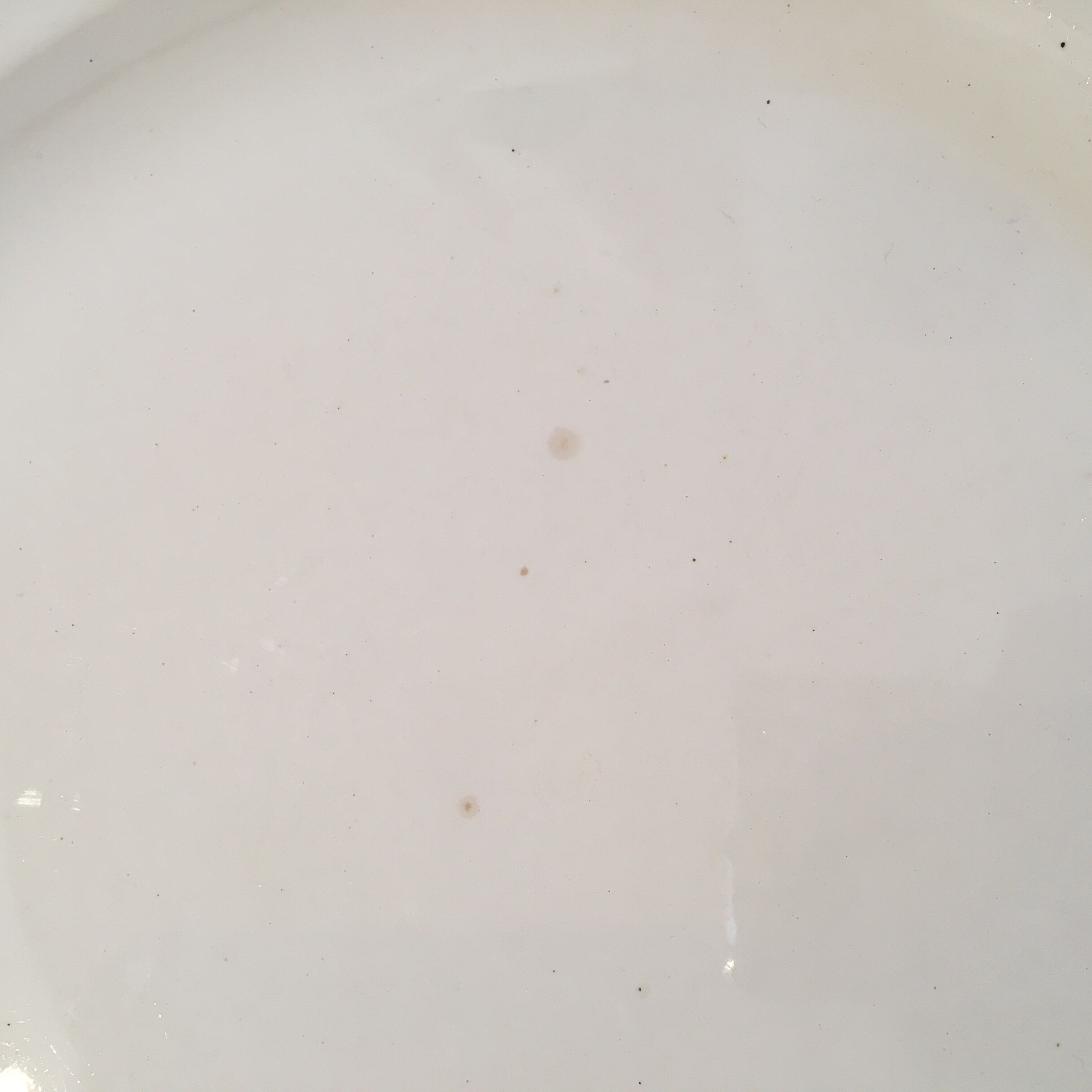 Digoin Sarreguemines 2-course ivory-style set