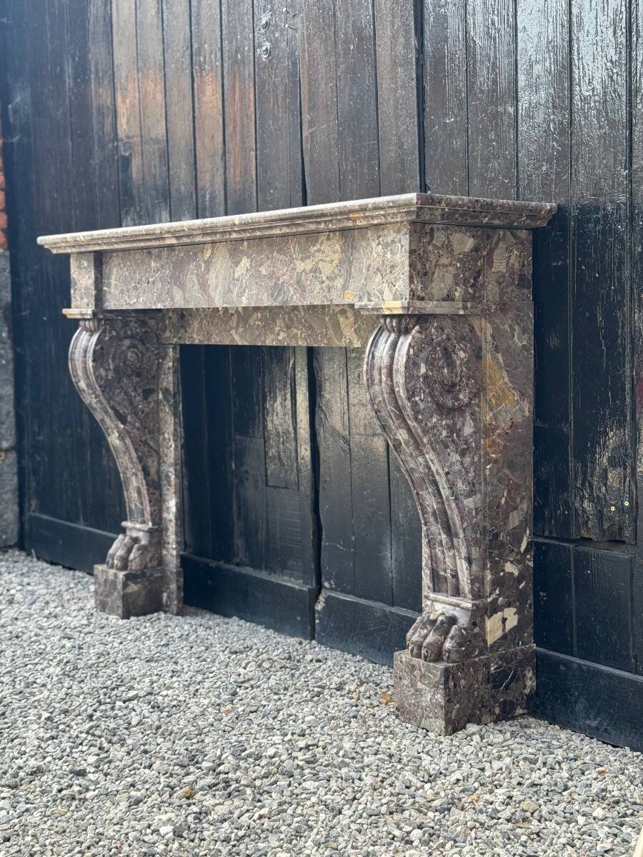 Charles X fireplace in Waulsort marble, early 19th century