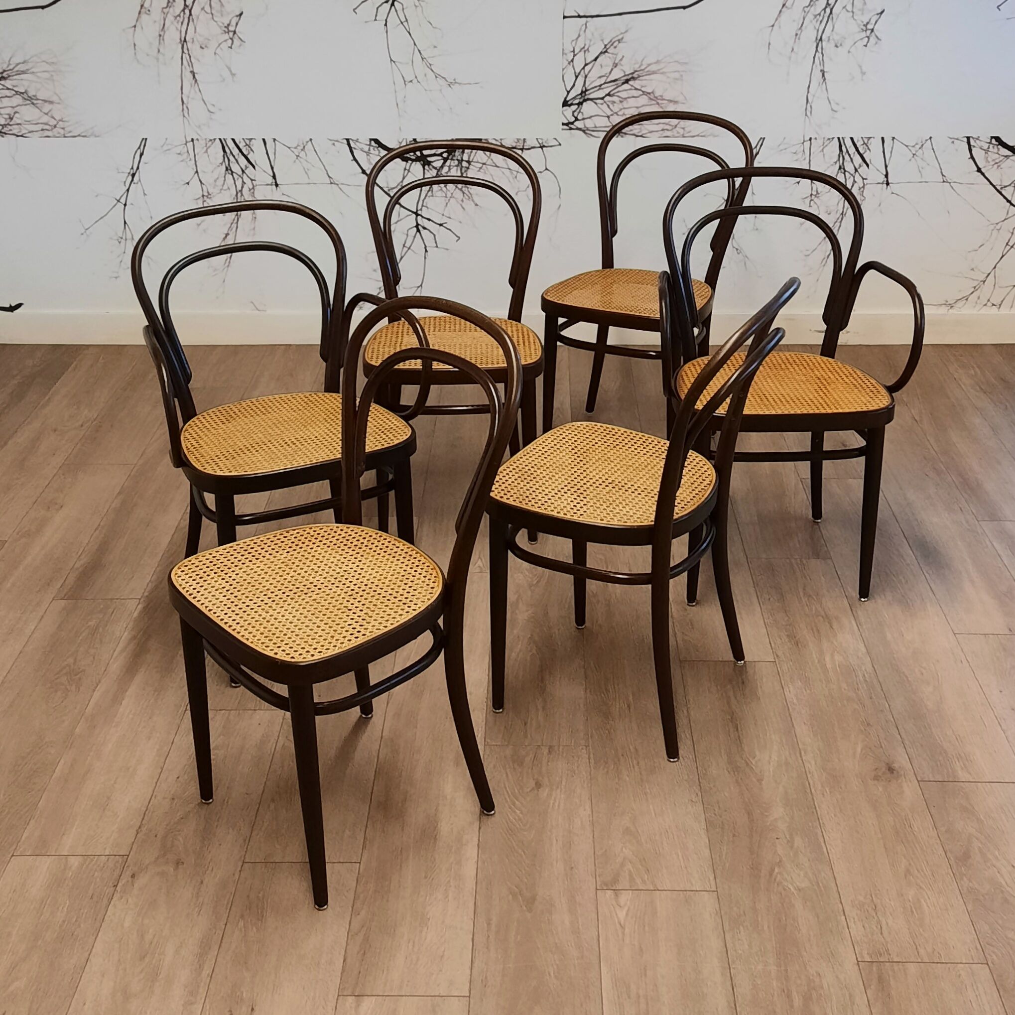Set of 6 No. 214 chairs by Michael Thonet for Thonet, 1980s