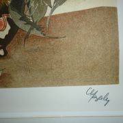 The Chestnut Stump, Litho Cl. Baly