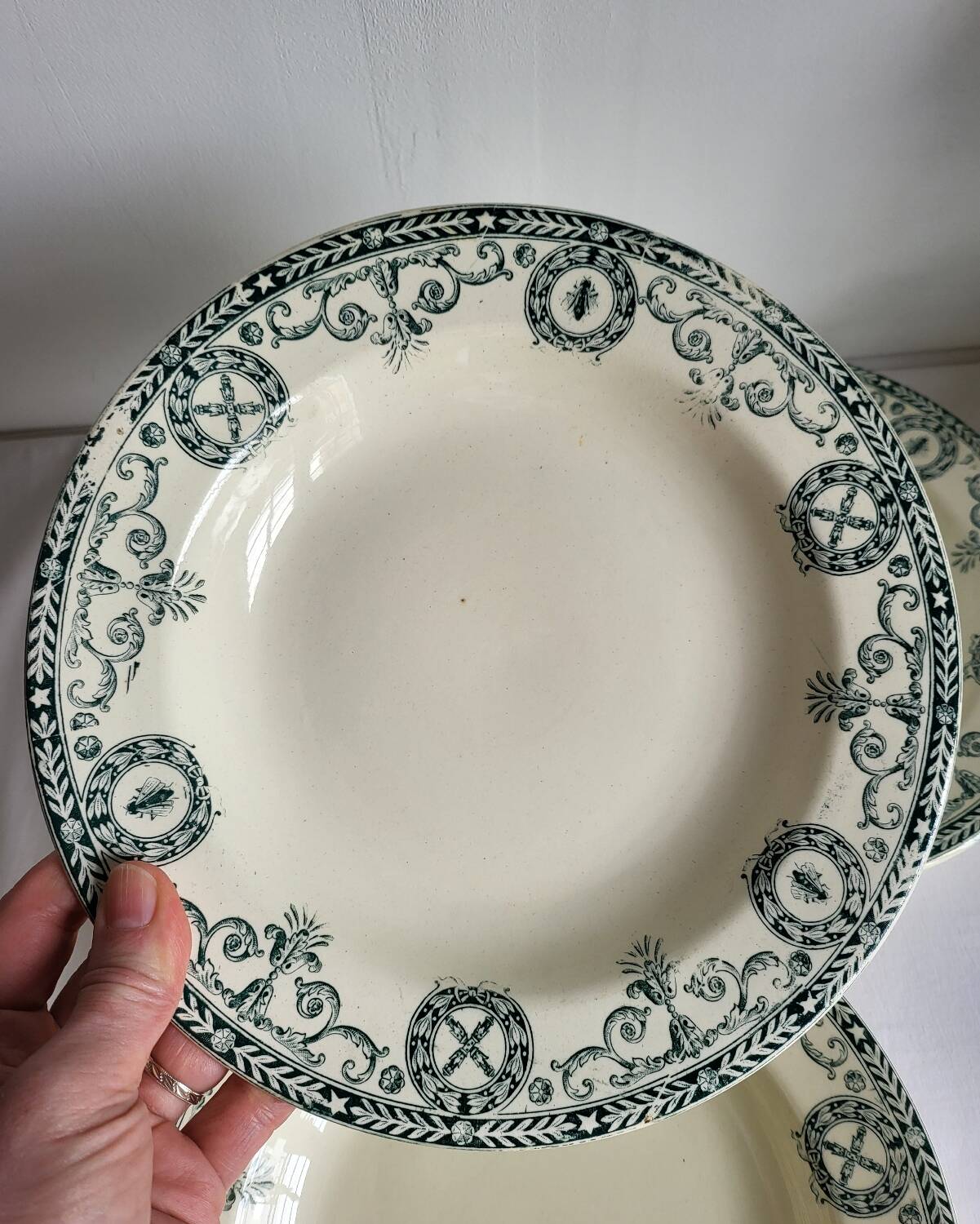 11 Deep Plates Ironstone Salins Cambacérès Decor