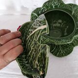 Old soup in dabbling