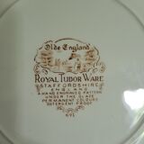 Plate
