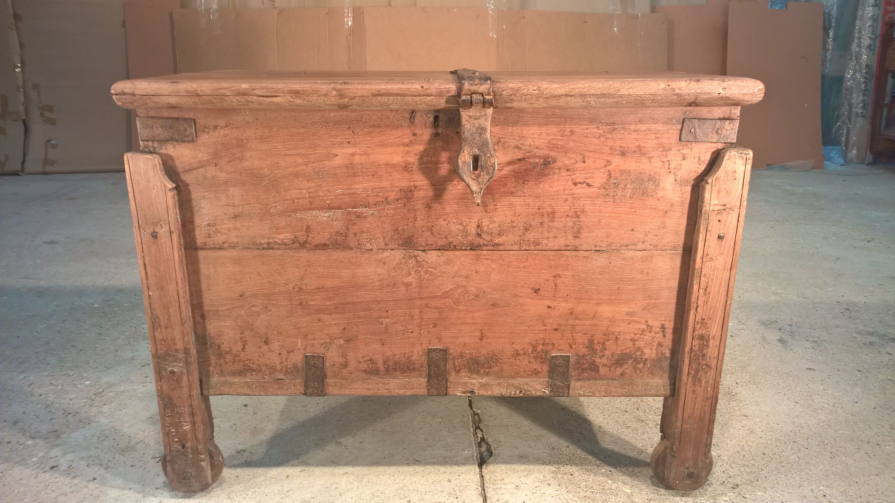 Trunk goannais ink310