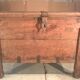 Trunk goannais ink310