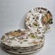 Set of 6 flat plates Mason's (England) chantilly model, 22.5 cm