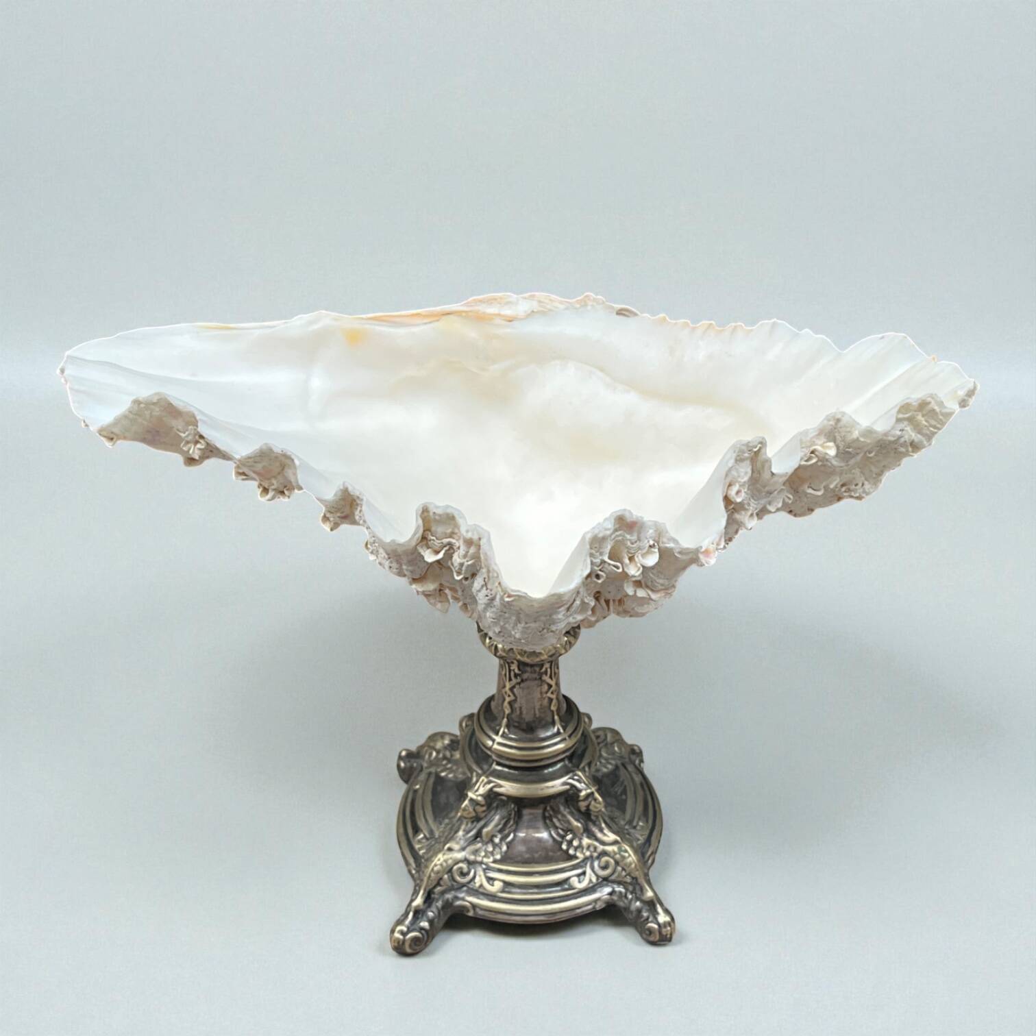 XXL large giant clam shell (Tridacne) on a silver-plated metal base, late 19th century