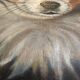 Oil on canvas dog portrait