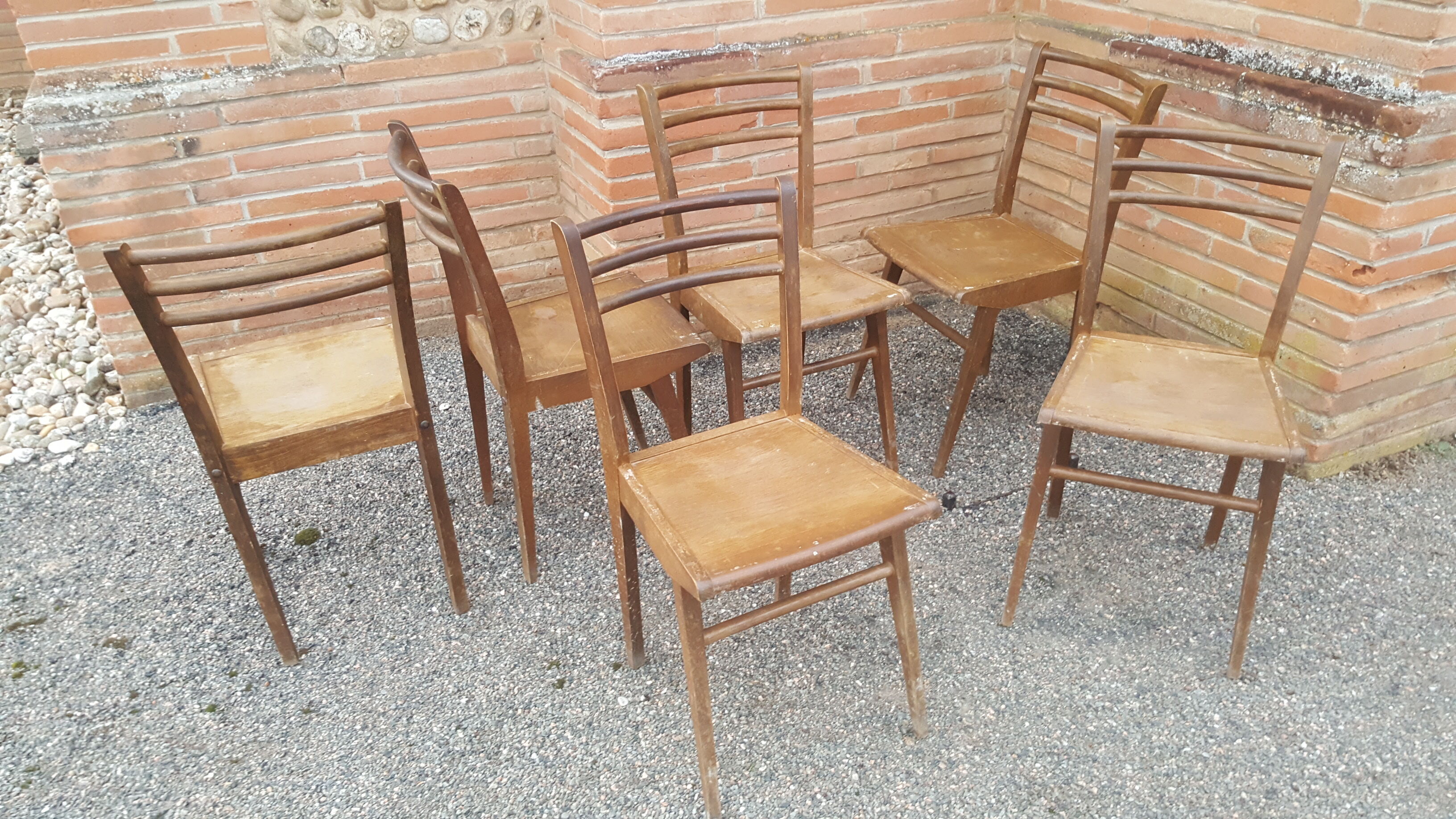 6 "Stella" chairs