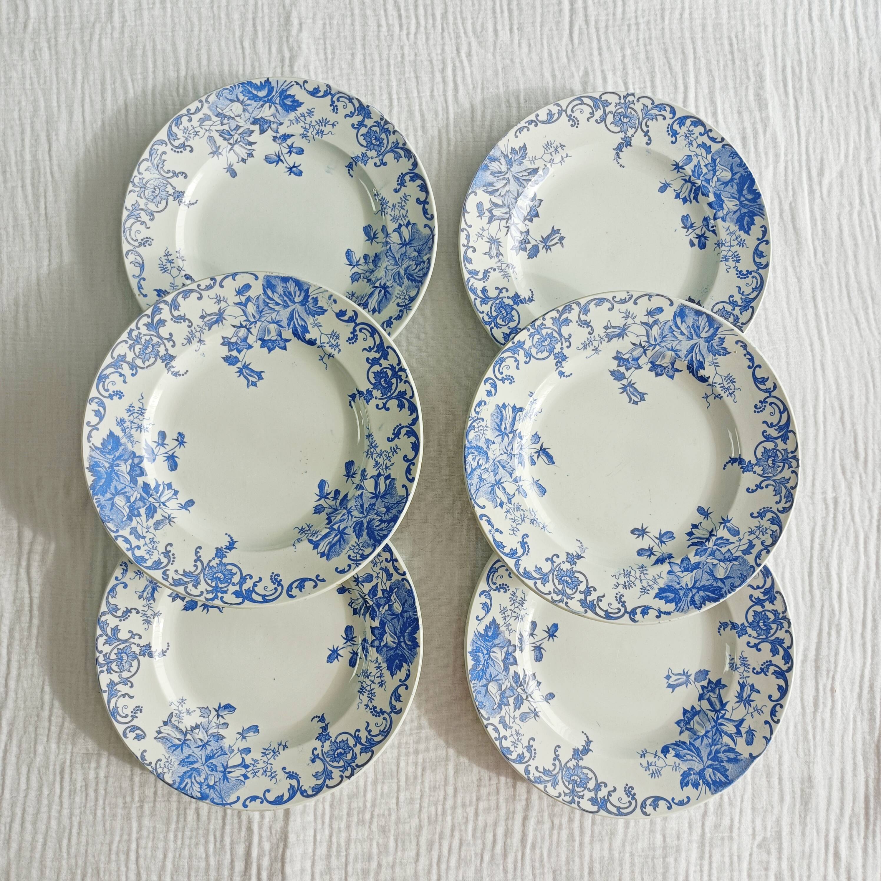 Lot de 6 assiettes semi-creuses terre de fer Saint Amand et Hamage, Campanule