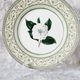 Vintage plate from the royal horticultural society applebee collection of england