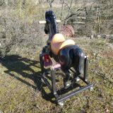 Vintage carousel riding horse