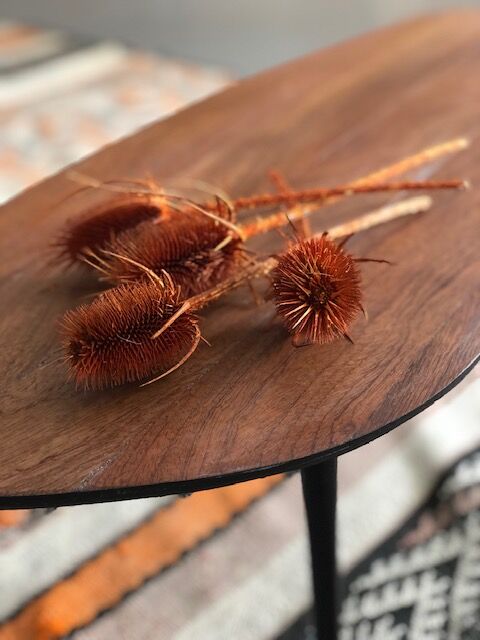 Teak and metal coffee table