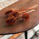 Teak and metal coffee table