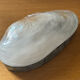 Empty pocket vintage shell mother-of-pearl 70s