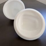 Opaline chicken box