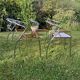 Chaises vintage