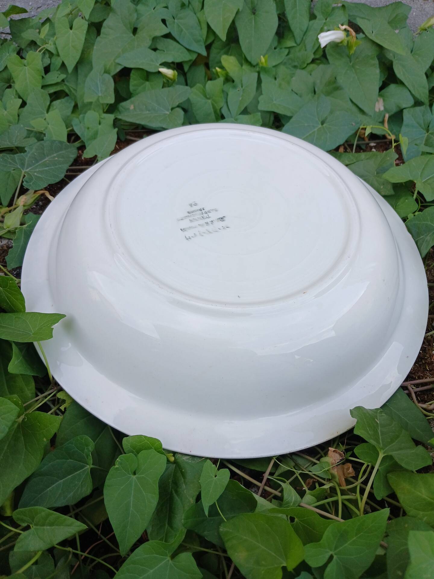 Shallow round plate Digoin and Sarreguemines
