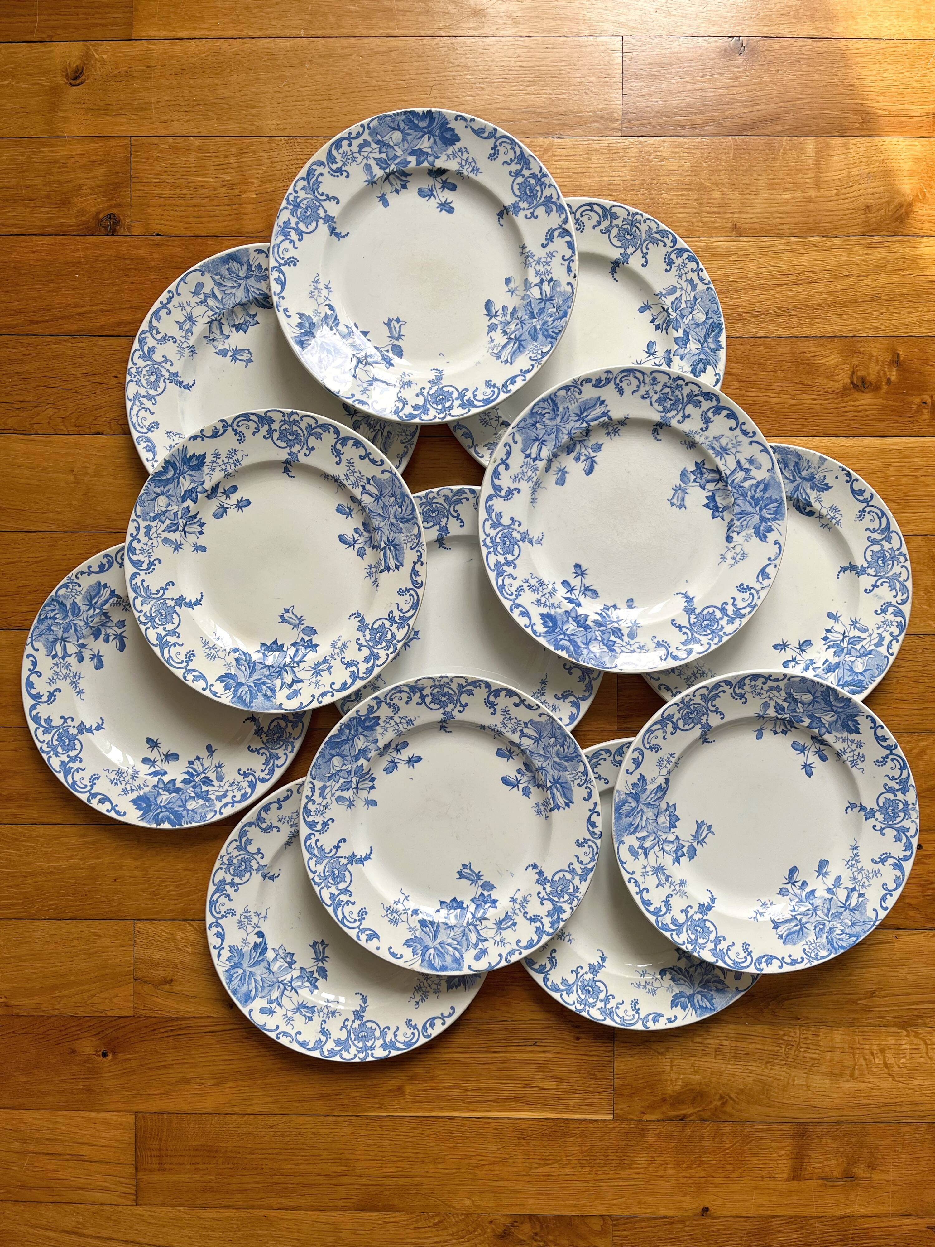 12 small flat plates "Campanule" Saint Amand and Hamage