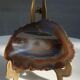 Petrified wood pocket tray