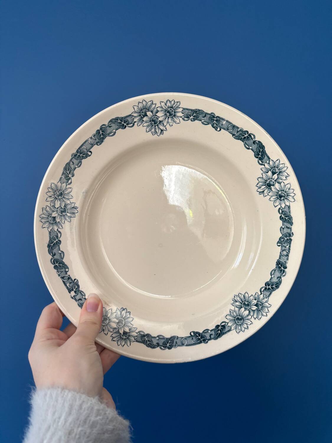 Set of 6 semi-deep plates in ironstone Longchamp model Denise.