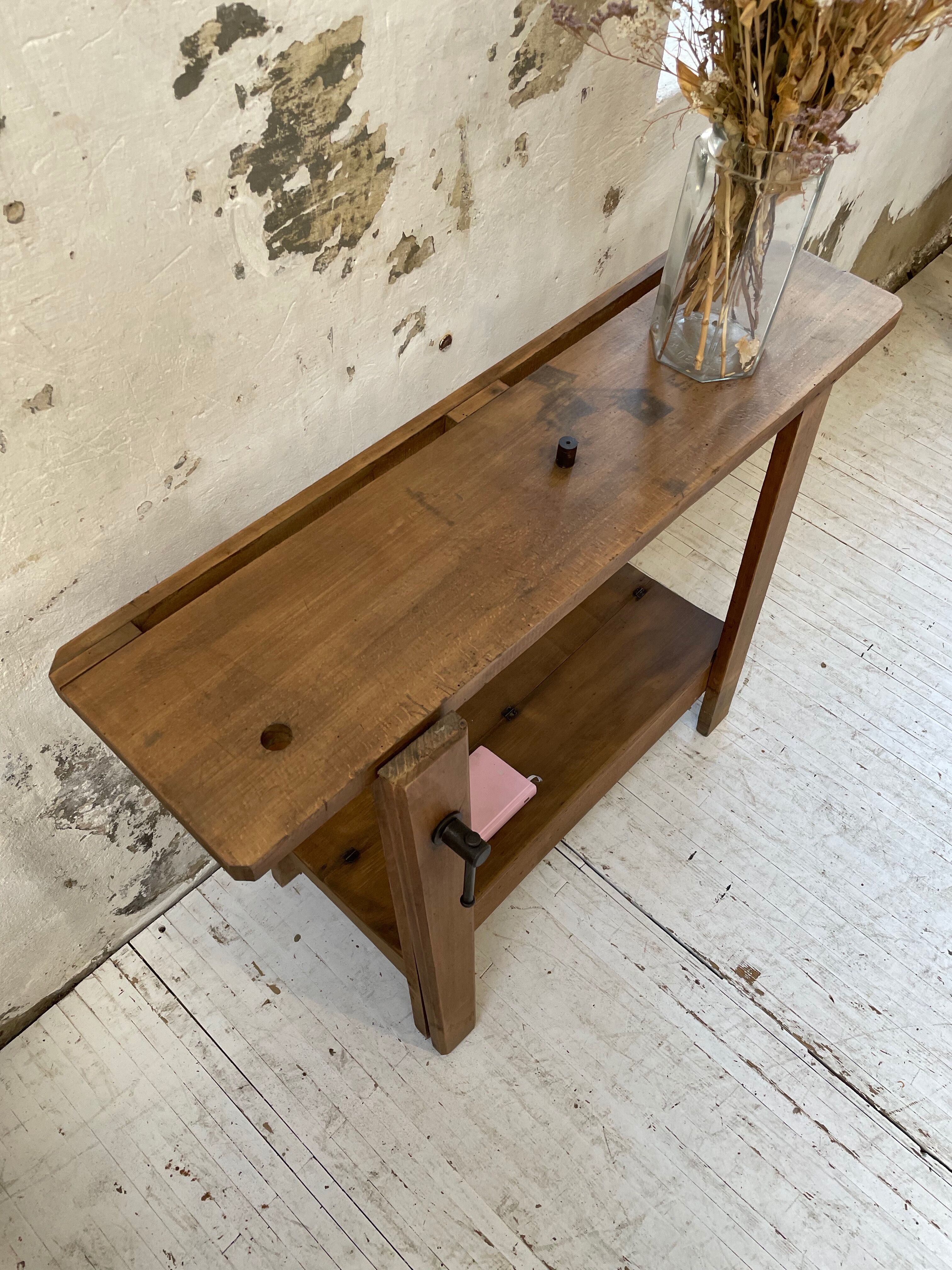 Established XS in cherry tree